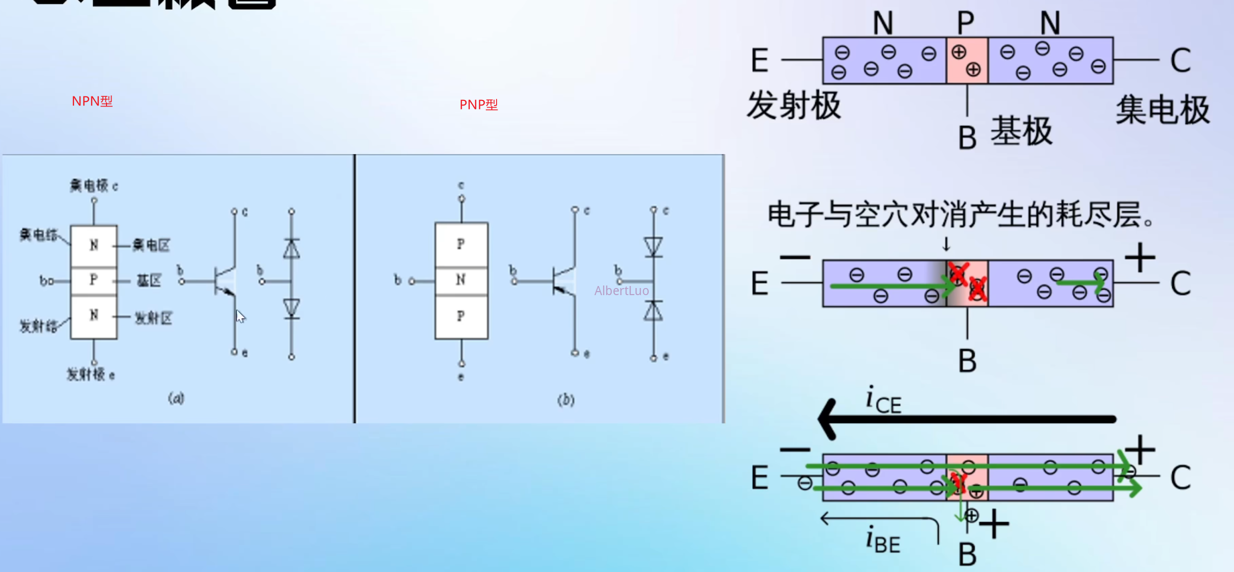 image-20241113230831484