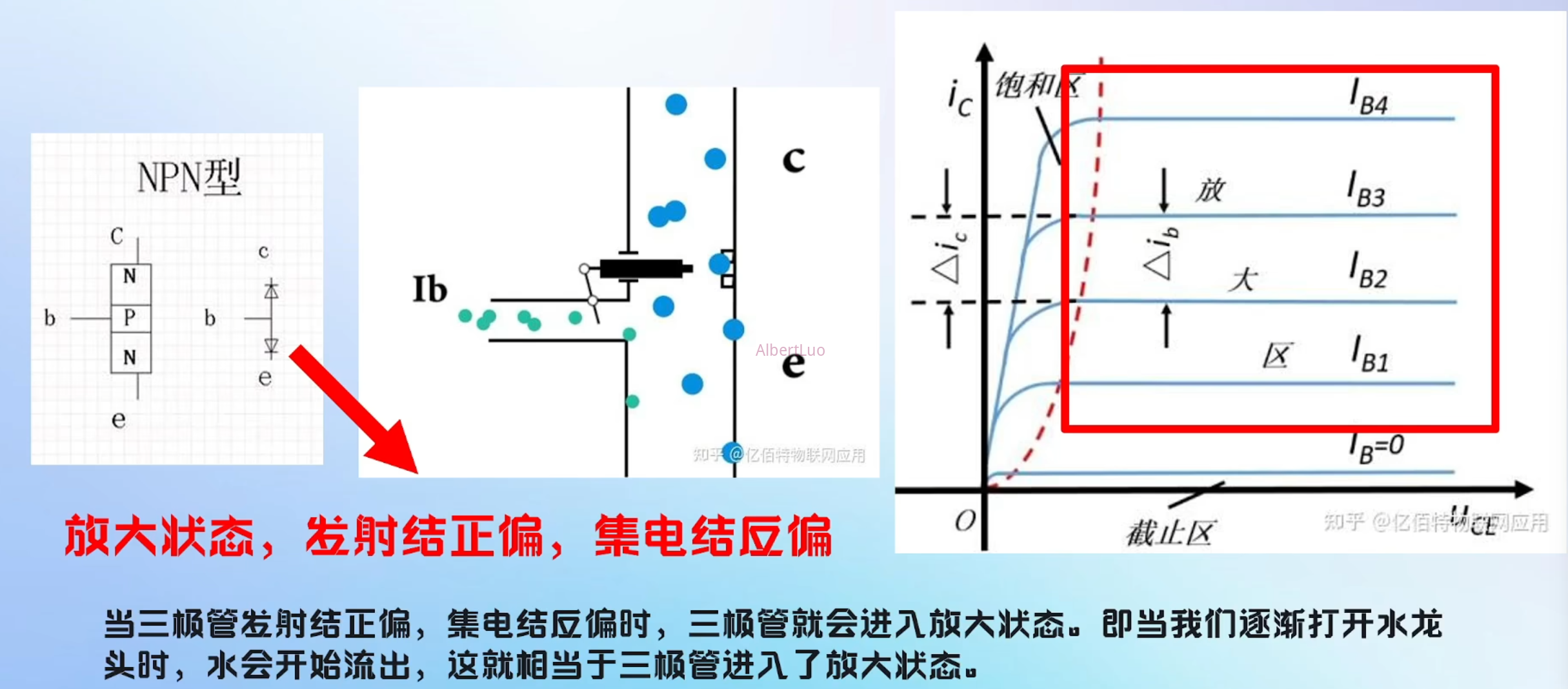 image-20241113231134362